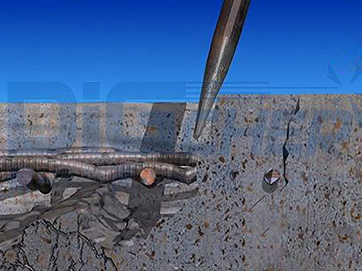 ���y����������